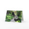The Thinker - Lowland Gorilla - Greeting Card