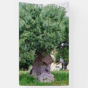 The Thinking Tree in Pugia Banner