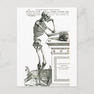 The Thoughtful Skeleton Postcard