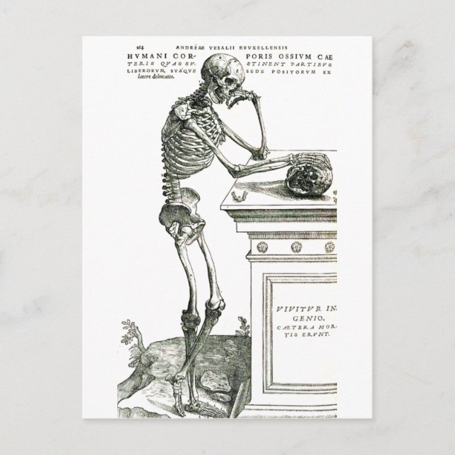 The Thoughtful Skeleton Postcard (Front)