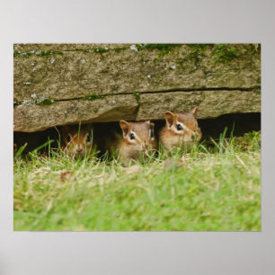 the three amigos poster