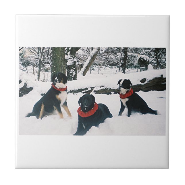 The Three Musketeers! Tile (Front)