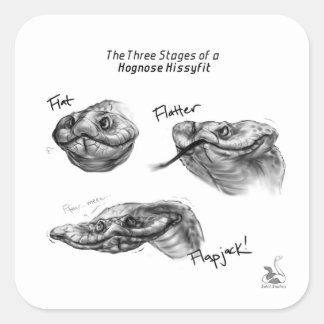 "The Three Stages of a Hognose Hissyfit" Sticker