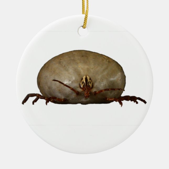 The Tick Ceramic Ornament (Front)