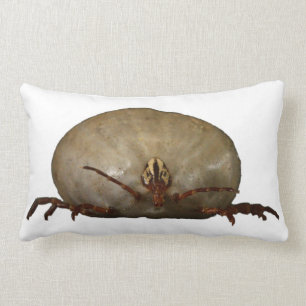 The Tick Lumbar Pillow
