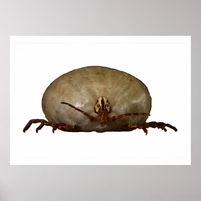 The Tick Poster (Front)