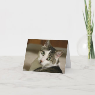 The Tiniest Tiger Note Cards