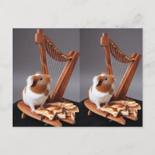 The Tiny Harpist – Whimsical Guinea Pig Postcard