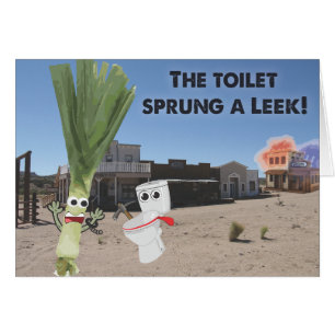 The Toilet Sprung a Leek!