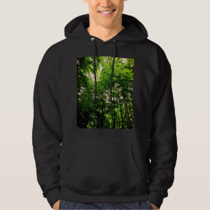 The tops of trees