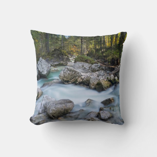 The torrent Ramsauer Ache Throw Pillow (Front)
