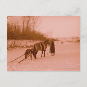 The Travois Postcard