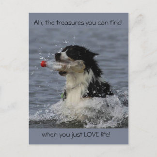 The treasures of life, postcard