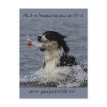 The treasures of life, postcard