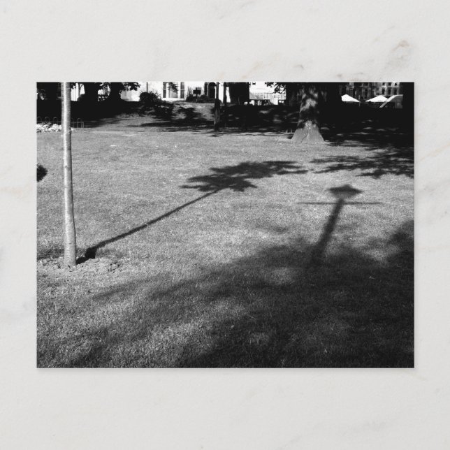 The Tree and the Lamppost were Friends Postcard (Front)