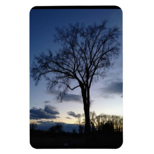 The Tree at Twilight Magnet