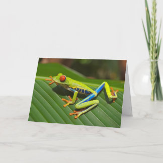 The Tree Frog Valentine Card