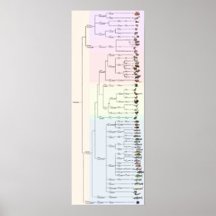 The Tree of Yum: Animalia Print
