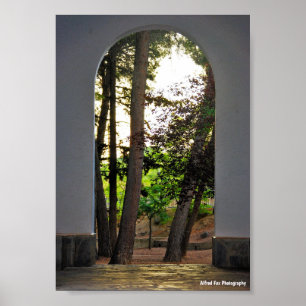 The Trees through the Arch Poster