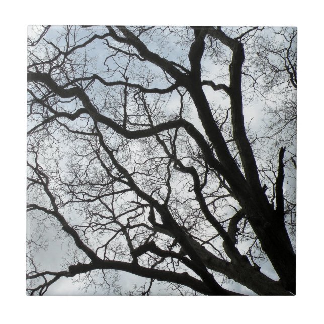 The Tree's Veins Ceramic Tile (Front)