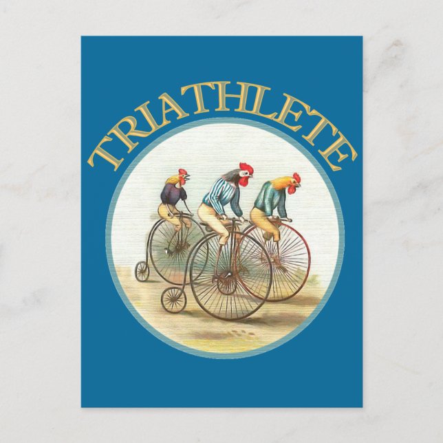 The Triathlon of Chickens Postcard (Front)