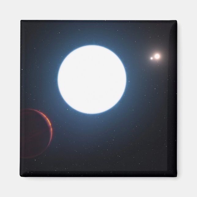 The Triple Star System Hd 131399 Magnet (Front)