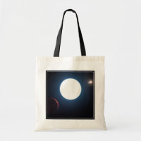 The Triple Star System Hd 131399