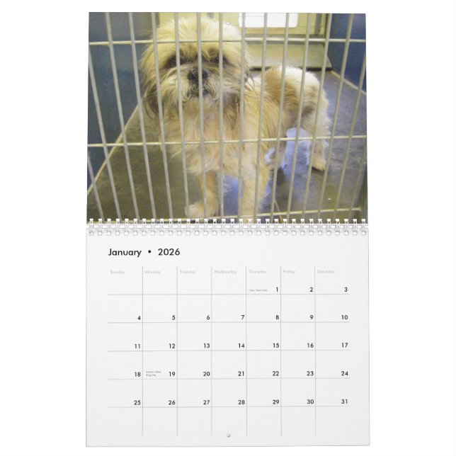 The True Collars of Dogs 2010 Calendar (Jan 2026)