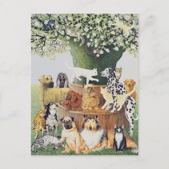 The Trysting tree Postcard (Front)