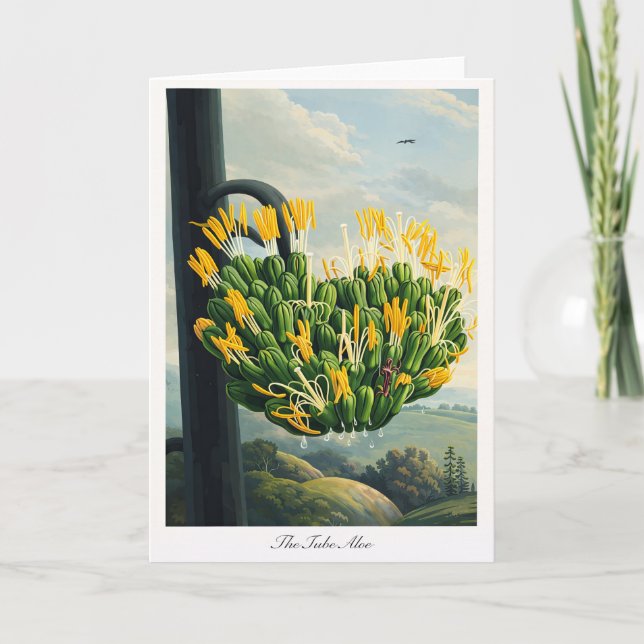 The Tube Aloe — Modern Botanical Reinterpretation Card (Front)