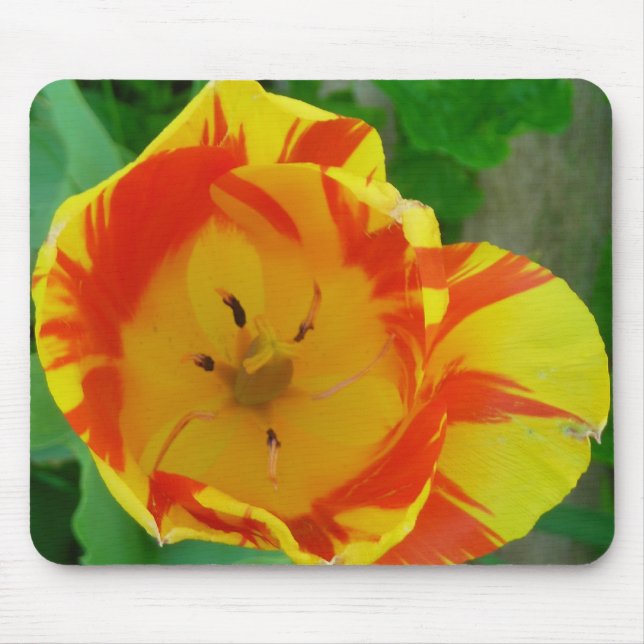 The Tulip Mouse Pad (Front)