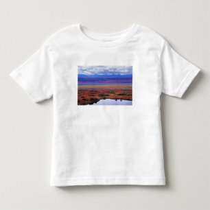 The tundra of Denali National Park in the late Toddler T-shirt