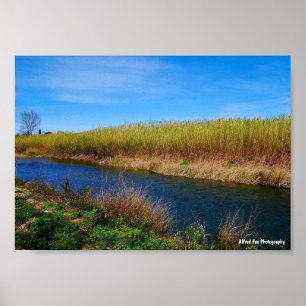 The Túria River Poster
