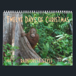 The Twelve Days of Christmas by orangutans Calendar<br><div class="desc">Imagine "The Twelve Days of Christmas" done rainforest style with orangutans! The artist donates her profits on this calendar  to the orangutan Care Centre,  home to 350 orphans,  where she volunteers.</div>