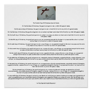 The Twelve Days Of Christmas Special Needs (AVSNR) Poster