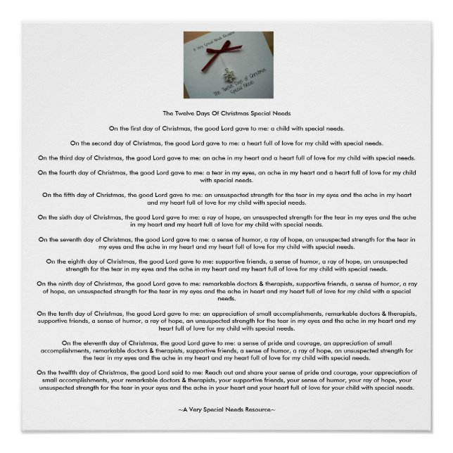 The Twelve Days Of Christmas Special Needs (AVSNR) Poster (Front)