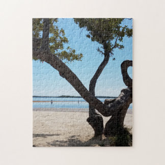 The Twist and Turns of Life Puzzle