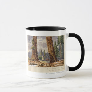 The Two Sentinels, at the Grove of Big Trees Mug