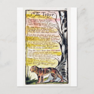 'The Tyger', plate 36 (Bentley 42) Postcard