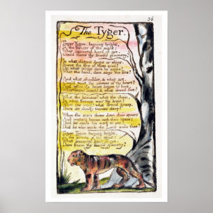 'The Tyger', plate 36 (Bentley 42) Poster