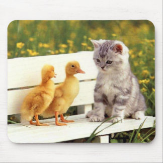 The Ugly Duckling Mousepad