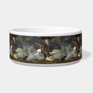 The Ultimate Bald Eagle