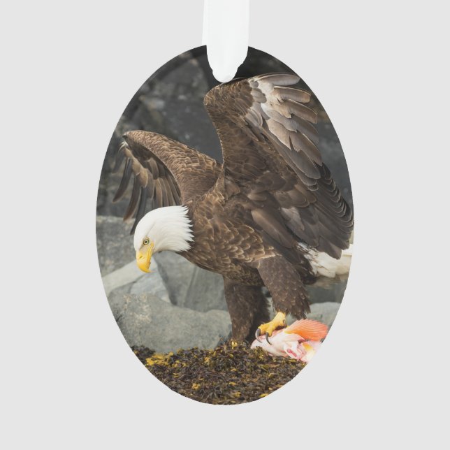 The Ultimate Bald Eagle Ornament (Back)
