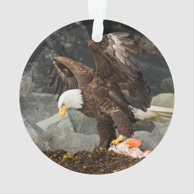 The Ultimate Bald Eagle Ornament (Back)