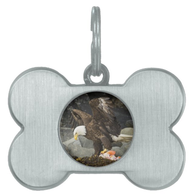 The Ultimate Bald Eagle Pet ID Tag (Front)