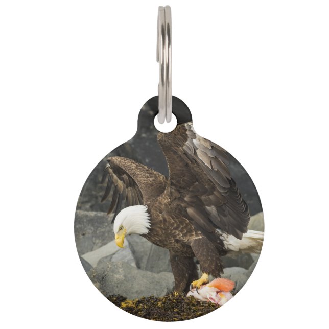 The Ultimate Bald Eagle Pet Tag (Front)