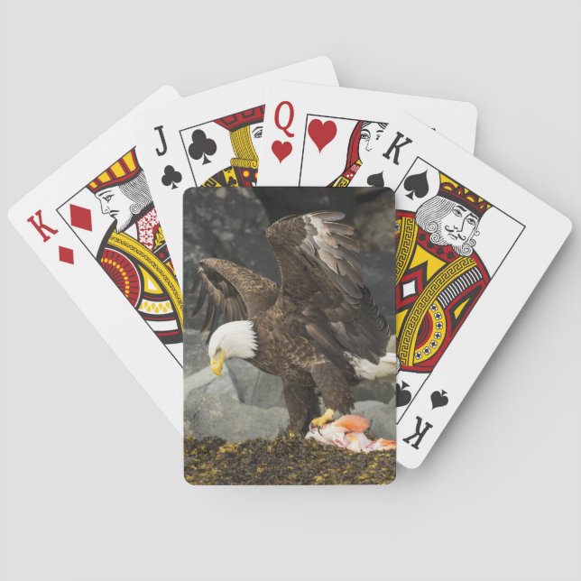 The Ultimate Bald Eagle Playing Cards (Back)