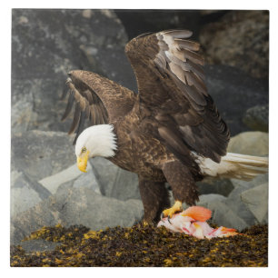 The Ultimate Bald Eagle Tile