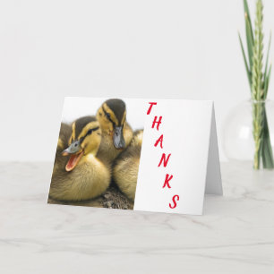 THE ULTIMATE ***THANK YOU CARD*** CARD