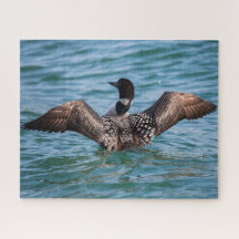 The Uncommon Loon puzzle